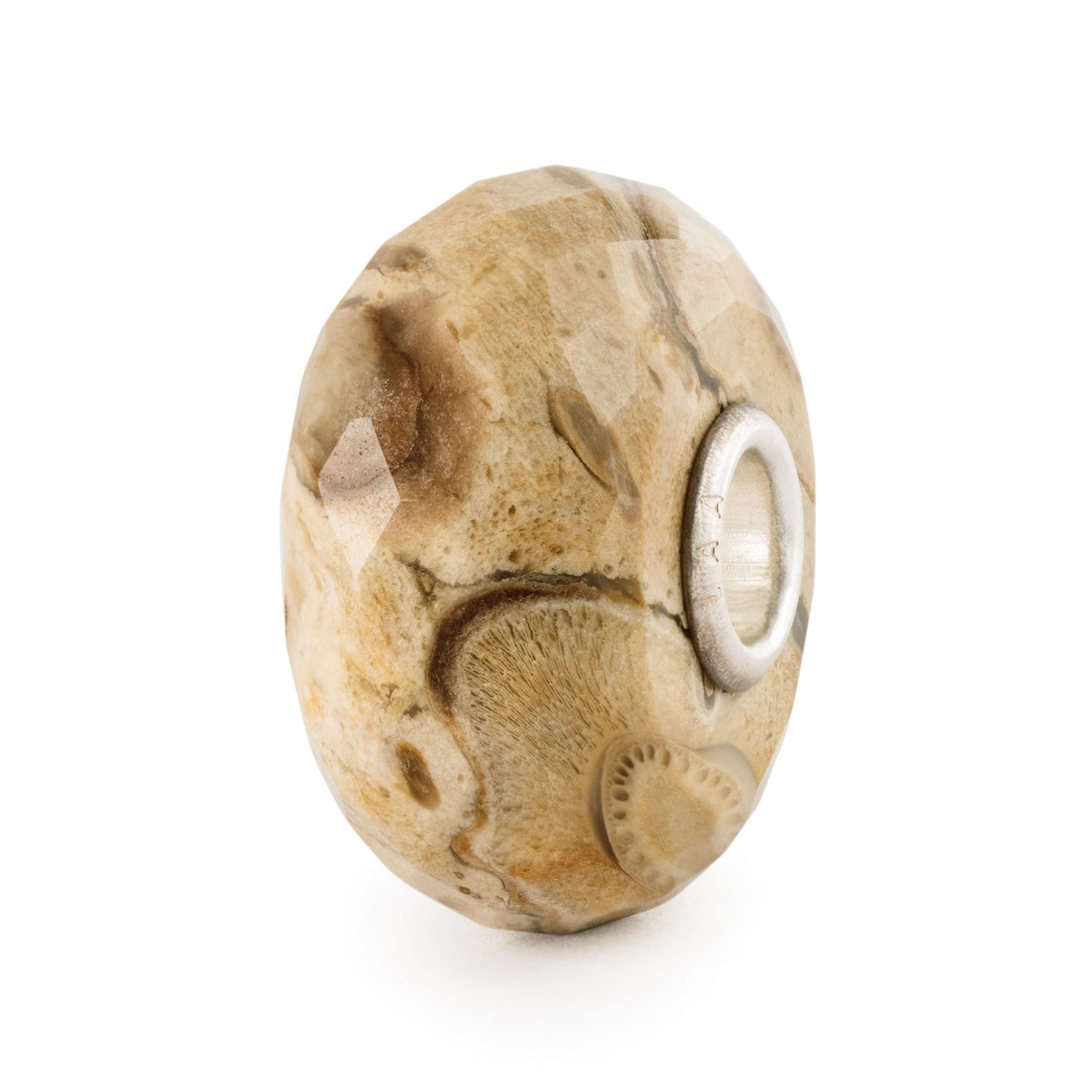 Fosszilizált fa